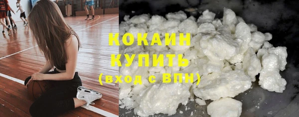 гашик Осинники