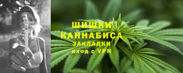молекула духа Пересвет