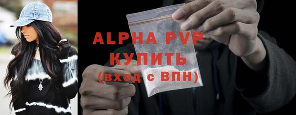 прущие грибы Переславль-Залесский
