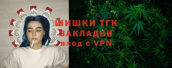гашик Осинники