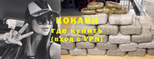 гашик Осинники