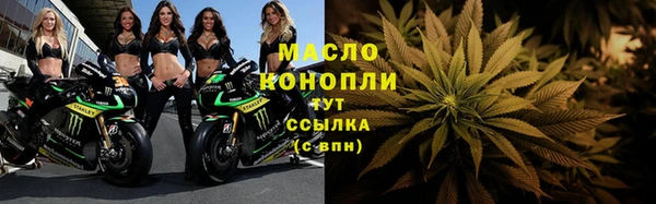 гашик Осинники