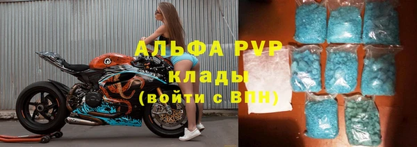 прущие грибы Переславль-Залесский