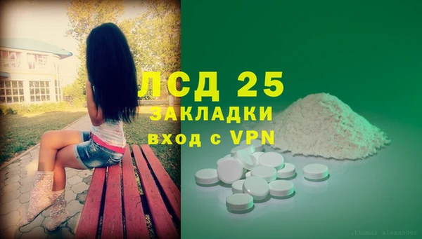 гашик Осинники
